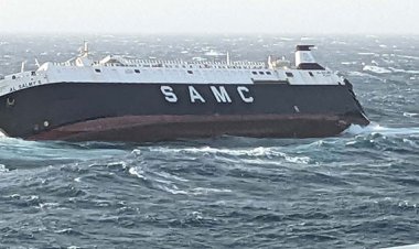 ইরান উপকূলে ডুবলো আরব আমিরাতের জাহাজ