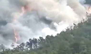  চীনে ১৩২ আরোহী নিয়ে প্লেন বিধ্বস্ত