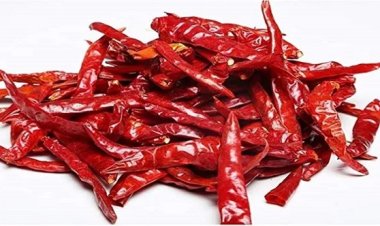 শুকনো লঙ্কায় দূর হবে যে ৭ রোগ