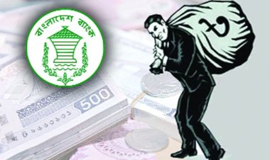 প্রণোদনার দ্বিতীয় ধাপে ঋণ বিতরণে ধীরগতি: ৯ মাসে লক্ষ্যমাত্রার ৪৪.৫০ শতাংশ