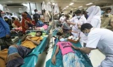  দিল্লিতে নালায় পড়ে রিকশাচালক-শ্রমিকসহ নিহত ৪