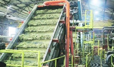 পাঁচ বছরে রাষ্ট্রায়ত্ত চিনিকলের লোকসান ৪৩৫১ কোটি টাকা