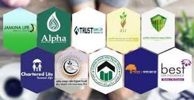 সিইও সংকটে নতুন বিমা কোম্পানিগুলো