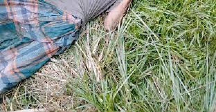 নরসিংদীতে রাজমিস্ত্রির গলাকাটা মরদেহ উদ্ধার