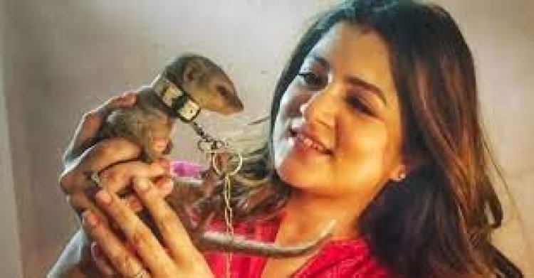 ৬ ঘণ্টার ম্যারাথন জেরা শ্রাবন্তীকে, হতে পারে ৭ বছরের জেল