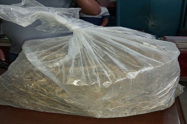 কাফরুল ও কদমতলীতে গাঁজাসহ গ্রেফতার ২