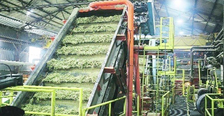 পাঁচ বছরে রাষ্ট্রায়ত্ত চিনিকলের লোকসান ৪৩৫১ কোটি টাকা