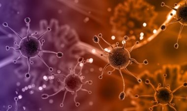 নারীদের সৌন্দর্য ধরে রাখার প্রযুক্তি আবিষ্কার