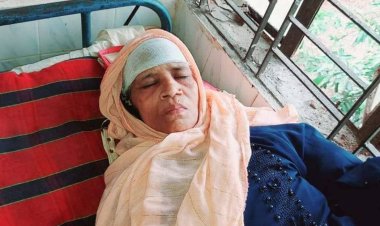 ছেলের বিরুদ্ধে হাতুড়ি দিয়ে মাকে পেটানোর অভিযোগ