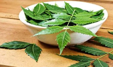 নিমের কি আদৌ কোনও ভেষজ গুণ রয়েছে