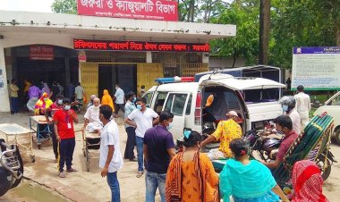 কলাবাগানে কীটনাশক দিতে গিয়ে ফেরা হলো না মান্নানের