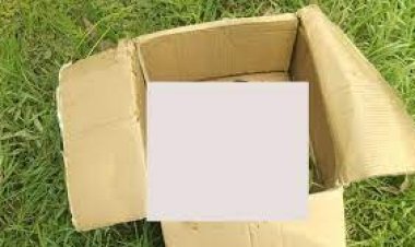 রাস্তার পাশে কার্টনে মিলল নবজাতকের লাশ