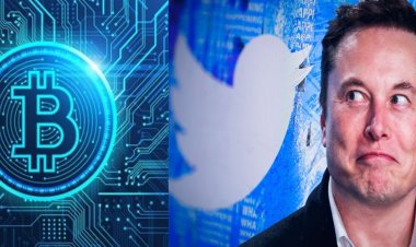 টুইটার বিক্রির পর লঞ্চ হল Elon Buys Twitter ক্রিপ্টোকারেন্সি, রাতারাতি দাম বাড়লো ১০৫০০ শতাংশ