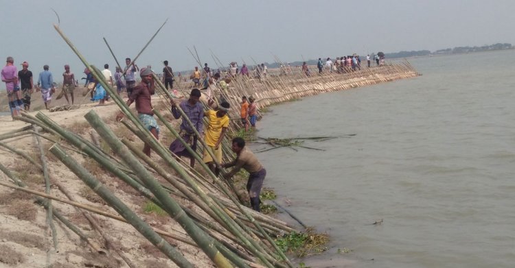 নেত্রকোনায় ফসল রক্ষা বাঁধে ফাটল, স্বেচ্ছায় কাজ করছেন কৃষকরা