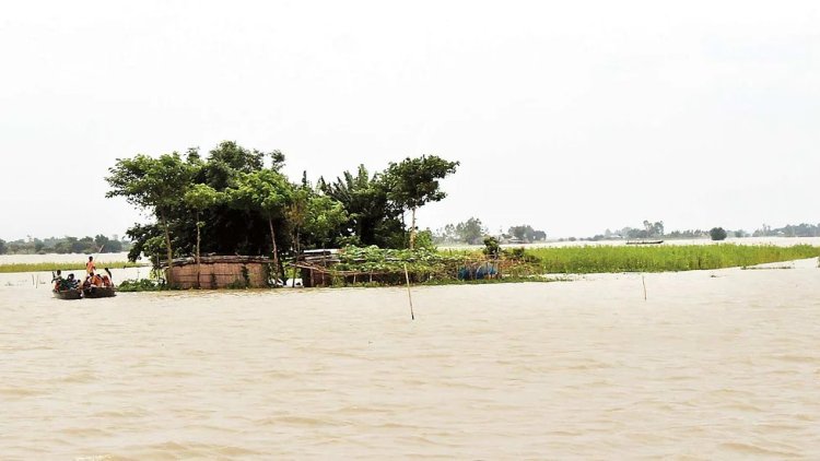 আগাম বন্যায় হাওরে পরিস্থিতির অবনতি