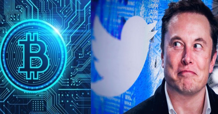 টুইটার বিক্রির পর লঞ্চ হল Elon Buys Twitter ক্রিপ্টোকারেন্সি, রাতারাতি দাম বাড়লো ১০৫০০ শতাংশ
