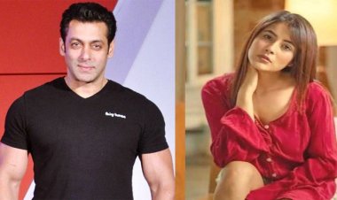  সালমান ও শেহনাজের এত ঘনিষ্ঠতার রহস্য কী?