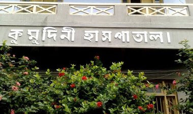 টাঙ্গাইলে বড় ভাইয়ের হাতে ছোট ভাই খুন