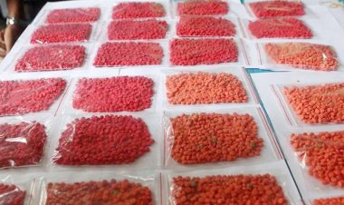 মাদকবিরোধী অভিযানে রাজধানীতে গ্রেফতার ৪৬