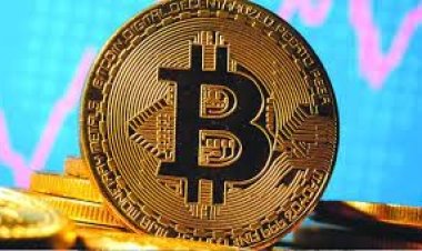 ৬ মাসে অর্ধেকে নেমে এসেছে বিটকয়েনের দাম