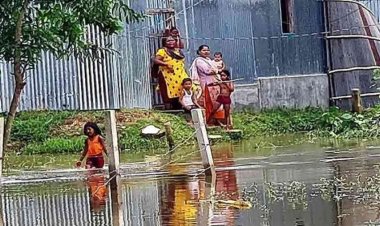 আখাউড়া পৌর এলাকার অর্ধশত পরিবার পানিবন্দি