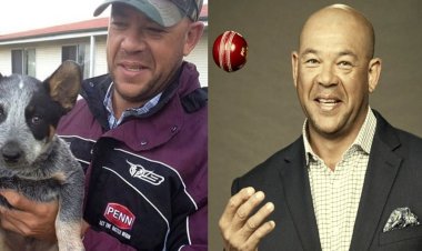  মৃত সাইমন্ডসকে ছেড়ে যায়নি তার পোষা কুকুরটি!