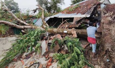 কালবৈশাখীর তাণ্ডবে লন্ডভন্ড কুষ্টিয়া