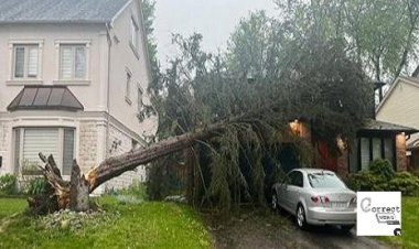  ঝড়ে বিপর্যস্ত কানাডার দুই রাজ্যে মৃত চার, ৯ লাখ বাড়ি বিদ্যুৎহীন