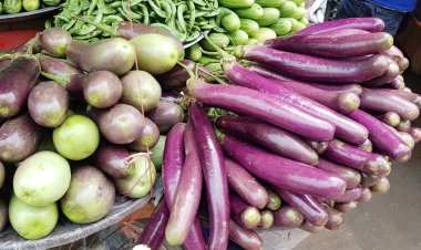  কাঁচা বাজারে এ সপ্তাহে আগুন লাগিয়েছে বেগুন