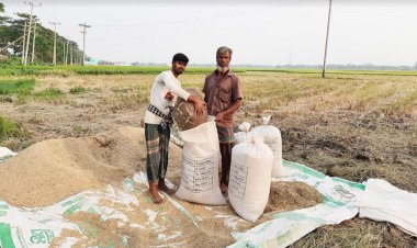 চাষিদের গোলা খালি হওয়ার পর দাম বাড়ল ধানের 