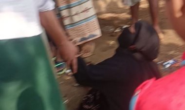 মা-ছেলেকে পেটালেন ইউপি সদস্য, ভিডিও ভাইরাল