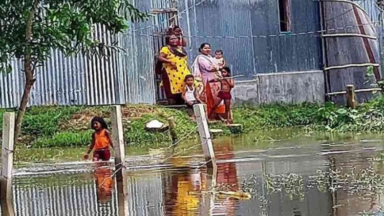 আখাউড়া পৌর এলাকার অর্ধশত পরিবার পানিবন্দি