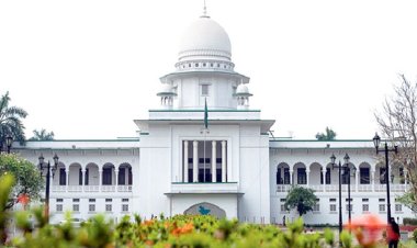 আমরা ঘুমিয়ে থাকি বলেই পিকে হালদারের সৃষ্টি হয় : হাইকোর্ট