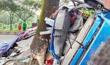 গাছে নিয়ন্ত্রণহীন পিকআপ ভ্যানের ধাক্কায় নিহত ২