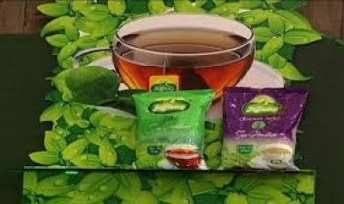 চায়ের উৎপাদন বাড়লেও কমছে রপ্তানি