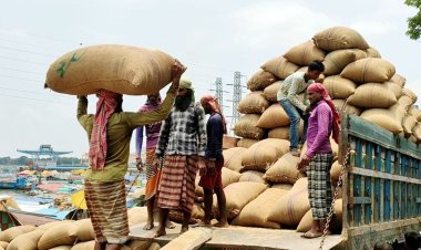 আশুগঞ্জ মোকামে কাটছে না ধানের সংকট, বেড়েই চলেছে দাম