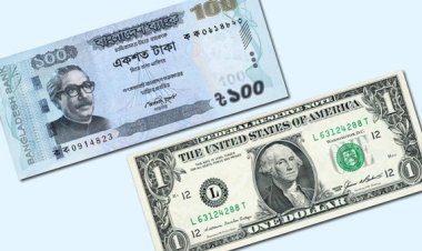 ফের ডলারের দাম বাড়লো, মান হারালো টাকা