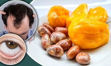 কাঁঠালের বীজ খেলে শরীরে যা ঘটে