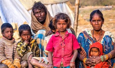 দীর্ঘস্থায়ী হবে বৈশ্বিক খাদ্য সংকট: ডব্লিউটিও