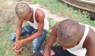 তরুণীর সঙ্গে কথা বলায় ২ যুবকের মাথা ন্যাড়া করে দিল ইউপি সদস্য