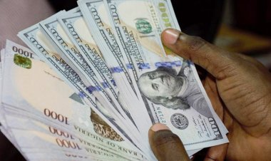 মন্থর গতিতে প্রবাসী আয় 