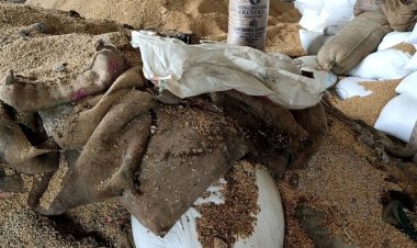 আখাউড়া স্থলবন্দরে পড়ে আছে ভারত থেকে আসা ১০০ টন ‘পচা গম’