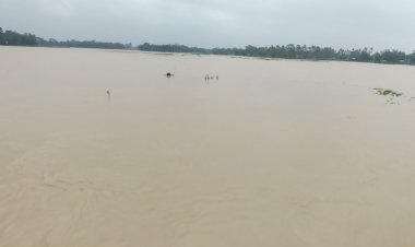 শেরপুরে নতুন দুই ইউনিয়ন প্লাবিত, পানিবন্দি ১০ হাজার মানুষ