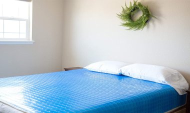 এই গরমে দিন শান্তির ঘুম! শীতলতা দেবে বিছানার চাদর!