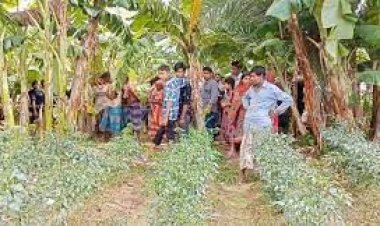 ব্যবসায়ীকে হত্যার পর ৬ লাখ টাকা ‘লুট’