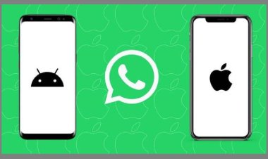 এবার Android থেকে iPhone-এ চ্যাট ট্রান্সফার করতে পারবেন ইউজাররা,  নতুন ফিচার WhatsApp-এ