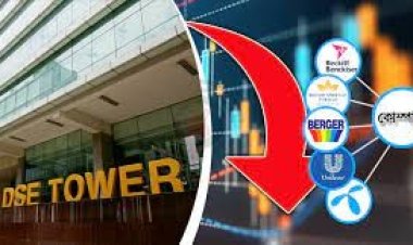 বহুজাতিকেও ধরাশায়ী বিনিয়োগকারীরা