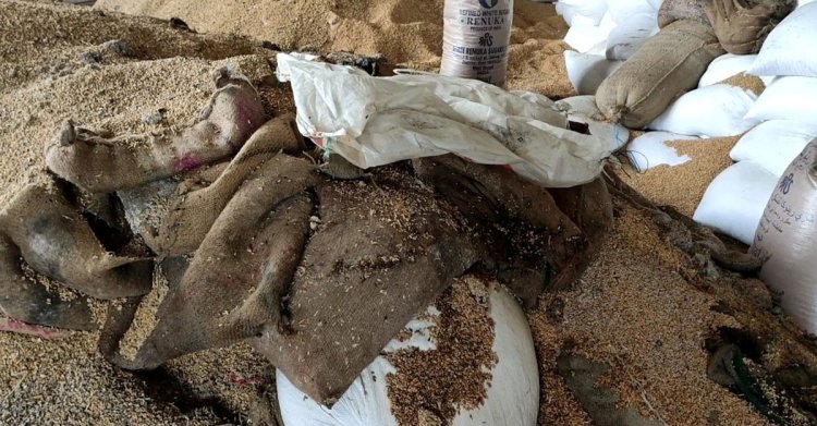 আখাউড়া স্থলবন্দরে পড়ে আছে ভারত থেকে আসা ১০০ টন ‘পচা গম’