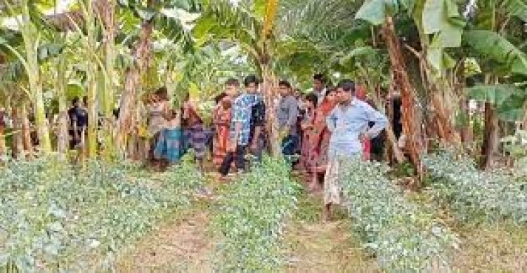 ব্যবসায়ীকে হত্যার পর ৬ লাখ টাকা ‘লুট’