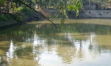 নেত্রকোণায় ডোবায় পড়ে ২ শিশুর মৃত্যু